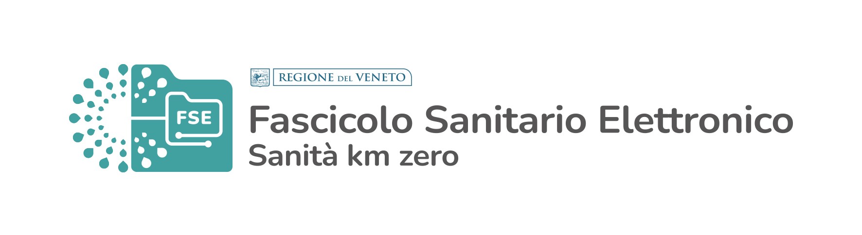 Fascicolo Sanitario Elettronico